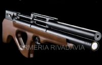P15 P15
